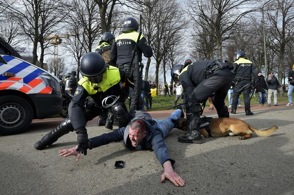 Полицейские во время задержания участника антиправительственной демонстрации в Гааге, Нидерланды - Sputnik Южная Осетия