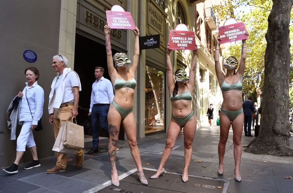 Активисты группы по защите прав животных PETA перед магазином французского модного бренда Hermes в Мельбурне - Sputnik Южная Осетия