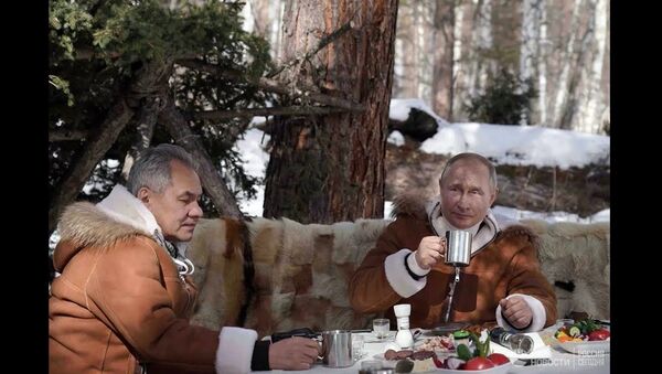 Суровый сибирский отдых: президент России и министр обороны уехали в тайгу - Sputnik Южная Осетия