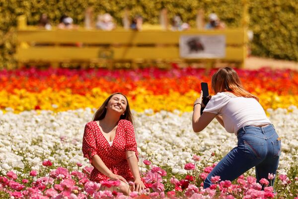 Девушки фотографируются на «Цветочных полях» в Карлсбаде, США - Sputnik Южная Осетия