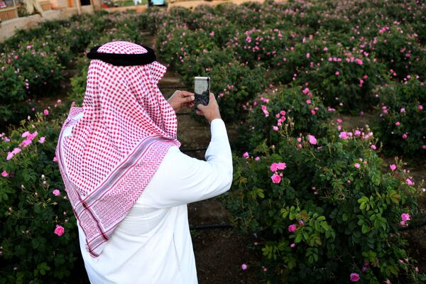 Мужчина из Саудовской Аравии делает снимок розового сада в городе Эт-Таиф - Sputnik Южная Осетия