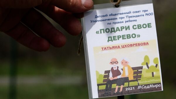 В медико-социальном центре Цхинвала высадили десяток берез - Sputnik Южная Осетия