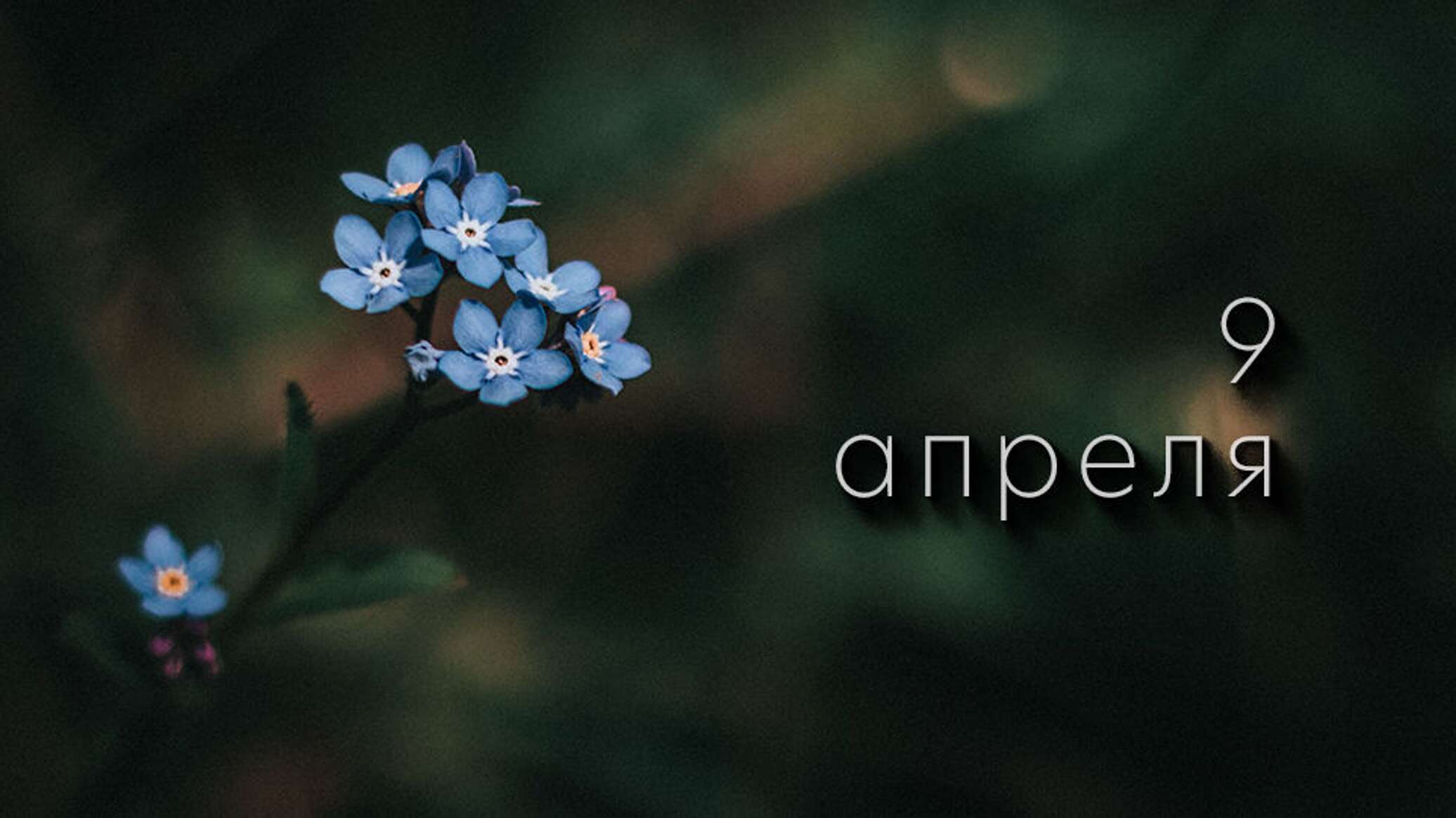 9 апреля день. 9 Апреля. 9 April.