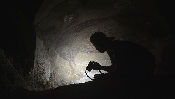 Археолог в пещере с наскальным рисунком в одной из пещер на Сулавеси - Sputnik Южная Осетия