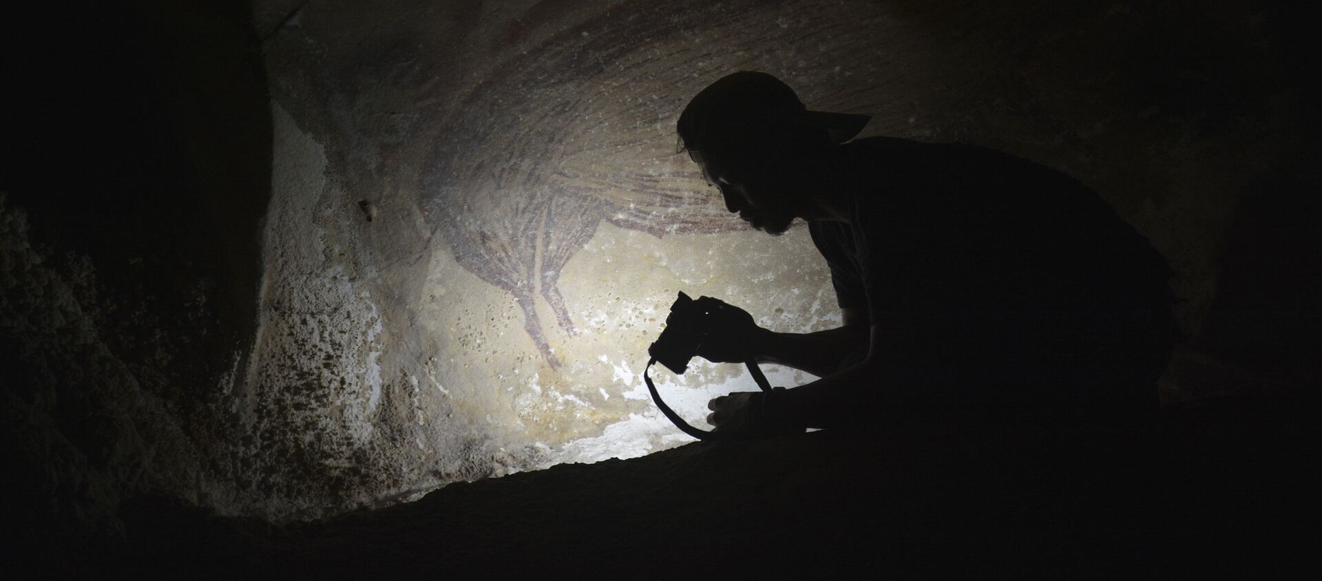 Археолог в пещере с наскальным рисунком в одной из пещер на Сулавеси - Sputnik Южная Осетия, 1920, 21.05.2021