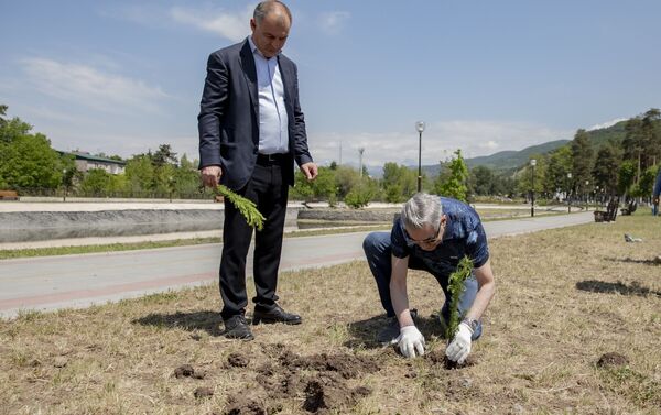 В Цхинвале высадили деревья на Аллее югоосетино-сирийской дружбы - Sputnik Южная Осетия