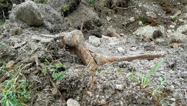 В селе Иры-кау Цхинвальского района Южной Осетии обнаружили останки людей - Sputnik Южная Осетия