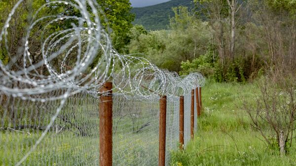 Пограничная зона - Sputnik Южная Осетия