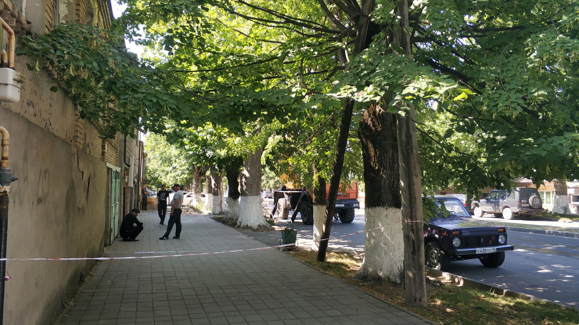 В Цхинвале обрезают ветви деревьев для безопасности на дорогах - Sputnik Южная Осетия, 1920, 19.07.2021