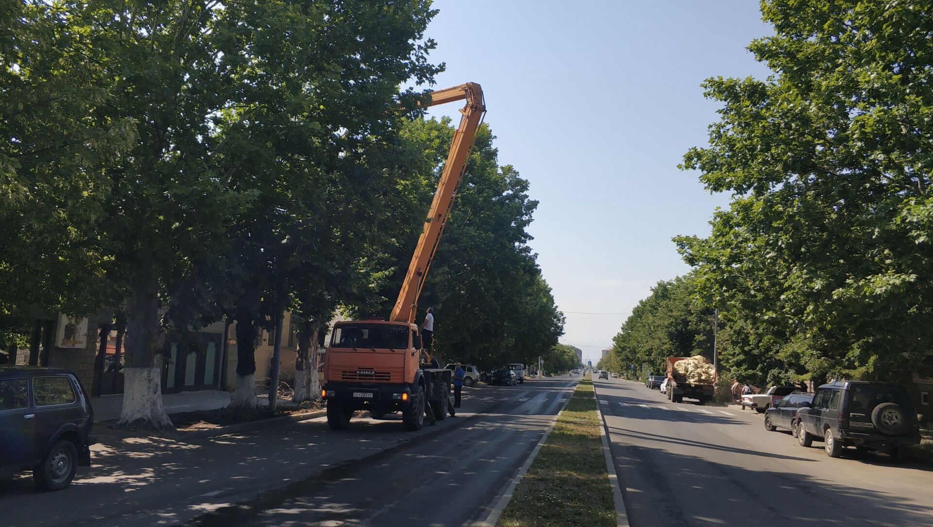 Комитет  озеленения проводит обрубку деревьев по просьбам ведомств и жителей - Sputnik Южная Осетия, 1920, 19.07.2021