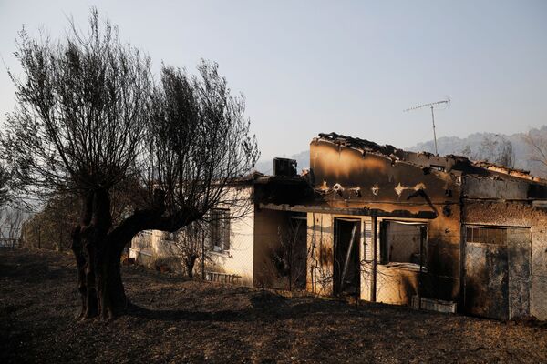Сгоревшие дома во время природных пожаров в Греции - Sputnik Южная Осетия