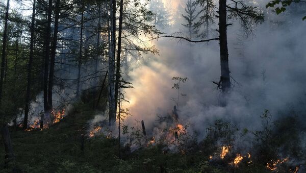 Лесной пожар. Архивное фото - Sputnik Южная Осетия