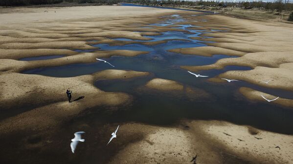 Птицы летают над почти засохшей рекой Old Parana во время засухи в Аргентине  - Sputnik Южная Осетия