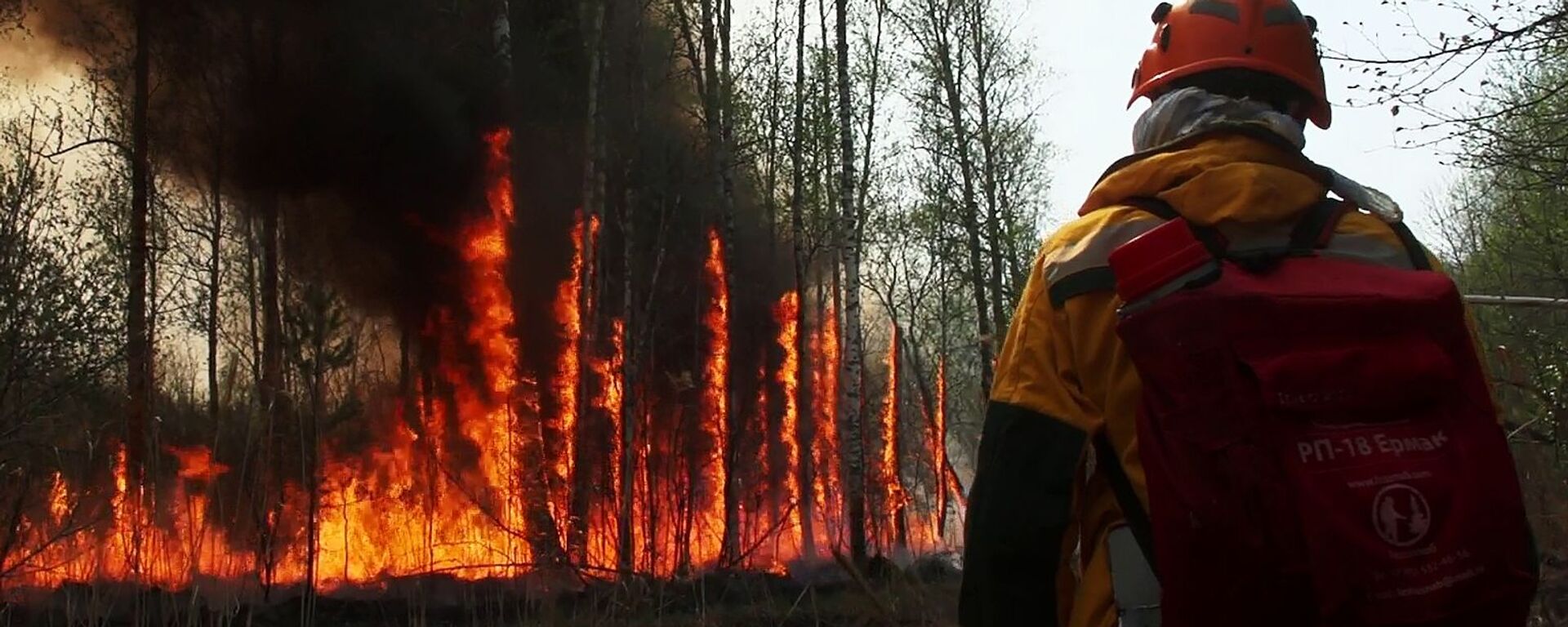 Сотрудник Авиалесоохраны во время тушения лесного пожара в Якутии - Sputnik Южная Осетия, 1920, 29.03.2022