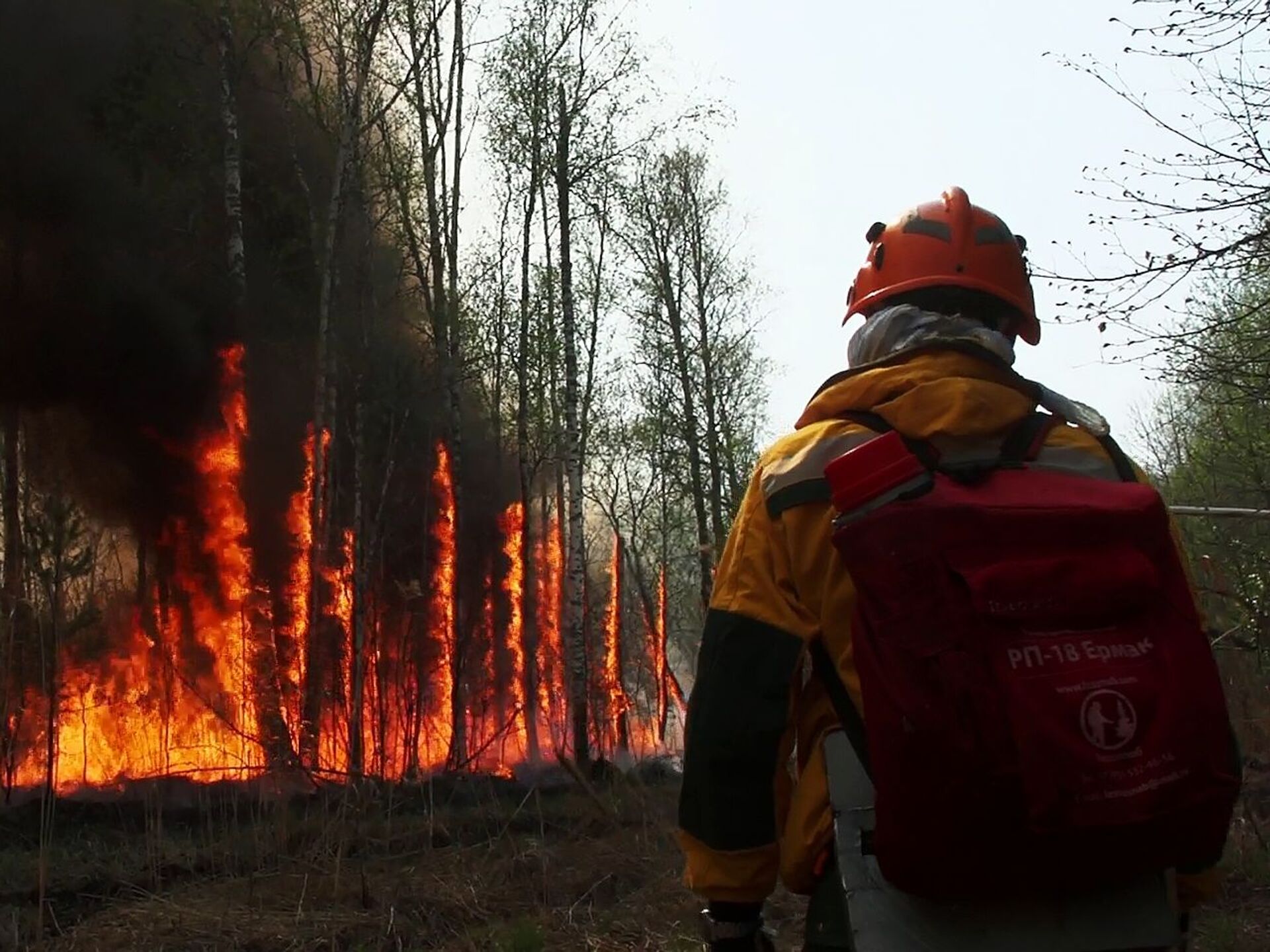 Пожары начали тушить. Лесные пожары в Якутии 2021. Лесной пожар Саров 2021. Пожары в Якутии 2022. Лесные пожары в Якутии 2023.