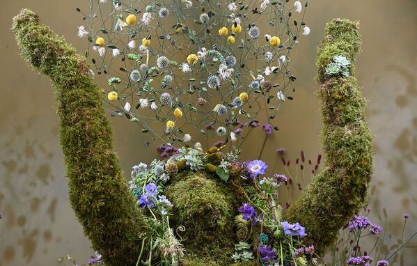 Деталь цветочной инсталляции на выставке цветов RHS Chelsea Flower Show в Лондоне  - Sputnik Южная Осетия