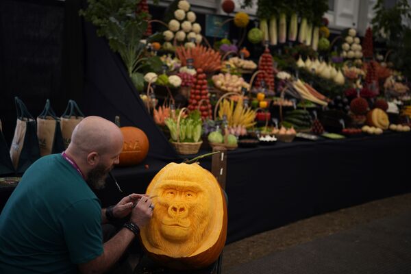 Карвер работает над дизайном тыквы-гориллы на выставке цветов Chelsea Flower Show - Sputnik Южная Осетия
