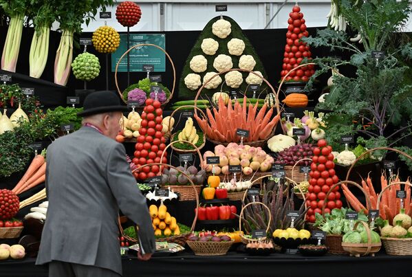 Мужчина смотрит на выставку овощей во время цветочной выставки RHS Chelsea в Лондоне  - Sputnik Южная Осетия