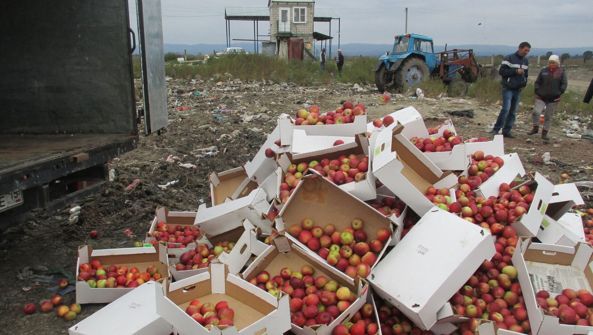 Почти 3 тонны санкционных польских яблок уничтожено в Северной Осетии - Sputnik Южная Осетия, 1920, 07.10.2021
