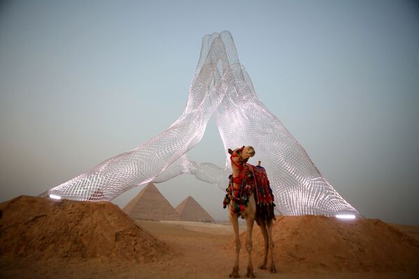 Верблюд у инсталляции итальянского художника Lorenzo Quinn на выставке Forever Is Now у пирамид Гизы в Египте - Sputnik Южная Осетия