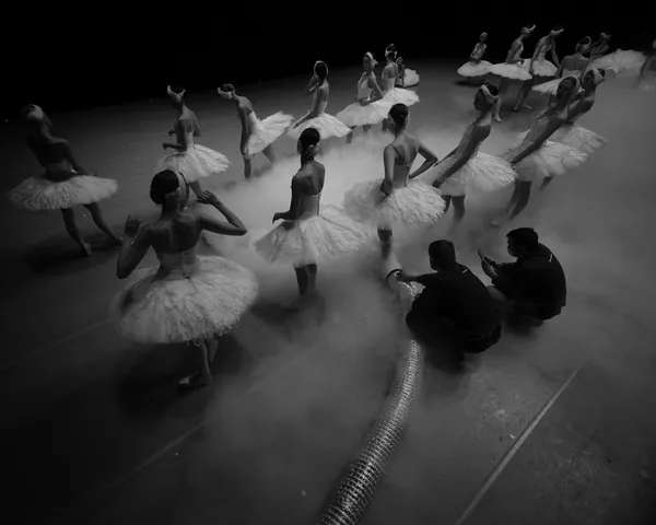 Снимок Swan Lake российского фотографа Alexey Tsiler, занявший 1-е место в категории Event/Other конкурса International Photography Awards 2021 - Sputnik Южная Осетия