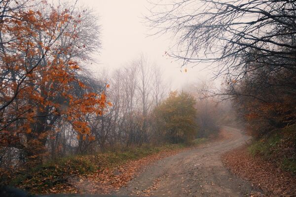 Осенняя дорога - Sputnik Южная Осетия
