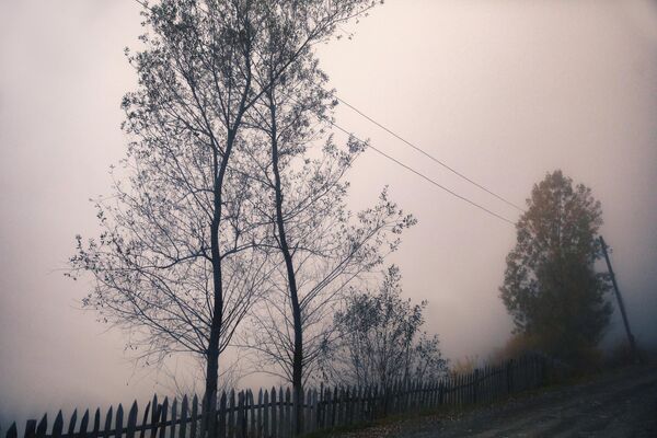 Туманная осень в Южной Осетии. - Sputnik Южная Осетия