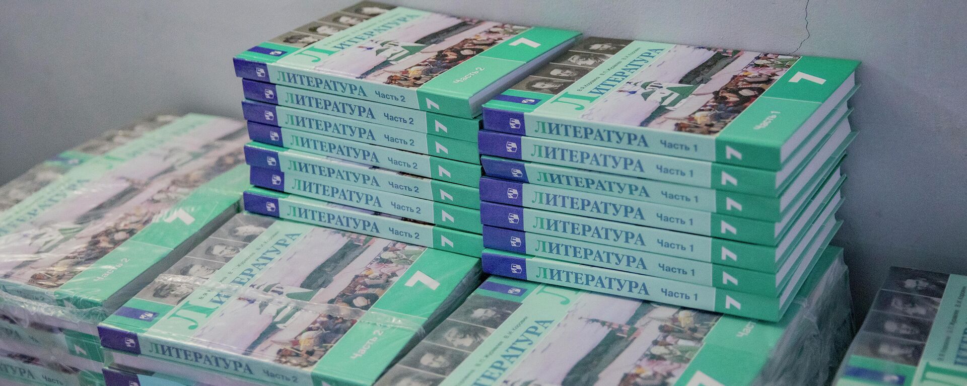 Русский дом в Цхинвале передал книги Минобразования Южной Осетии. Архивное фото - Sputnik Южная Осетия, 1920, 28.08.2024