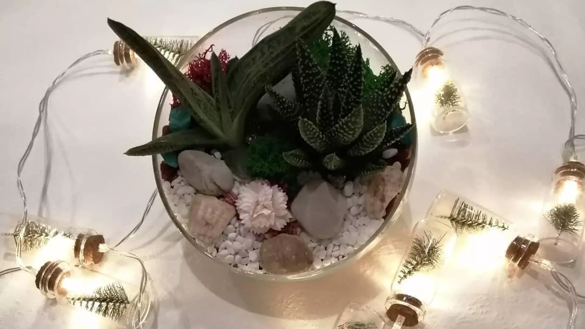 Флорариумы Алины Кулумбеговой