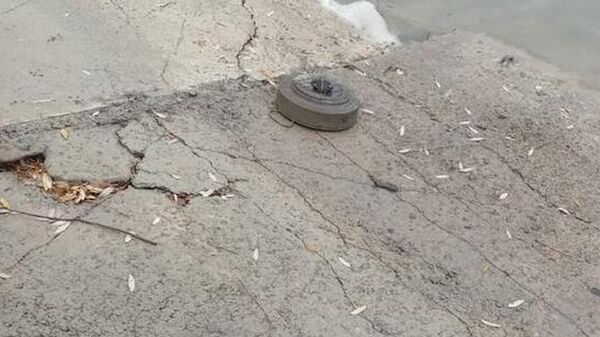 В Знаурском районе мужчина обнаружил противотанковую мину во время ловли рыбы - Sputnik Южная Осетия