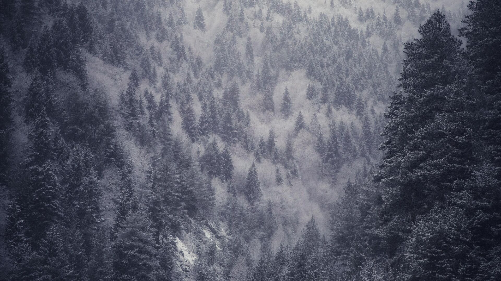 Снег в горах Осетии - Sputnik Южная Осетия, 1920, 23.01.2022