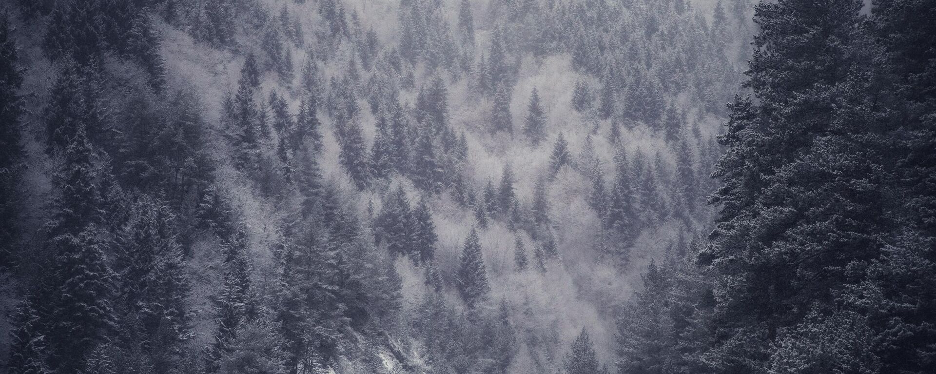 Снег в горах Осетии - Sputnik Южная Осетия, 1920, 16.01.2022