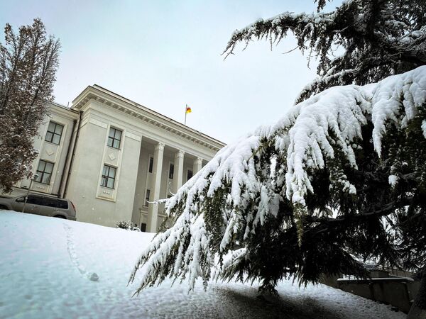 Ветки хвойных деревьев под тяжестью снега нагнулись на фоне здания парламента. - Sputnik Южная Осетия