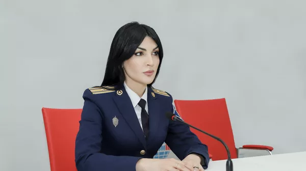 Более полусотни нарушителей госграницы: КГБ предупреждает об административной и уголовной ответственности - Sputnik Южная Осетия