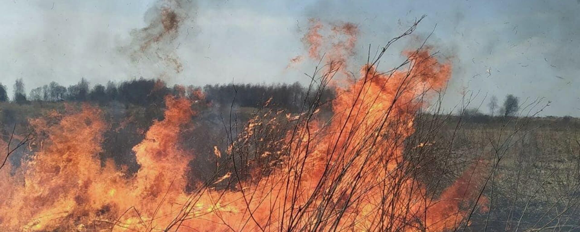 Пожарные потушили горящий сухостой в селе Дменис - Sputnik Южная Осетия, 1920, 23.07.2023