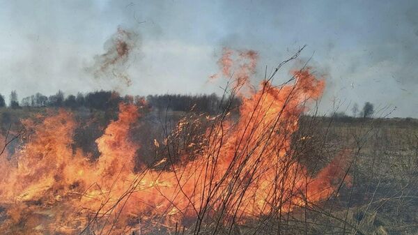 Пожарные потушили горящий сухостой в селе Дменис - Sputnik Южная Осетия