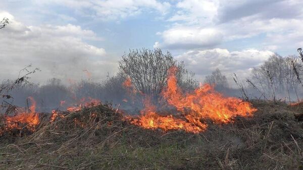 Пожар в Ленингорском районе - Sputnik Южная Осетия