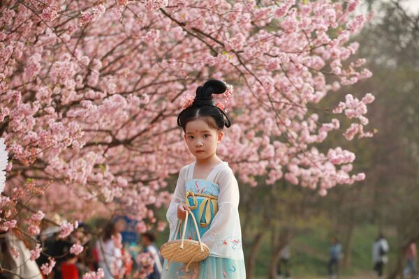 Девочка в традиционном костюме под цветущей вишней в китайском городе Нанкин - Sputnik Южная Осетия