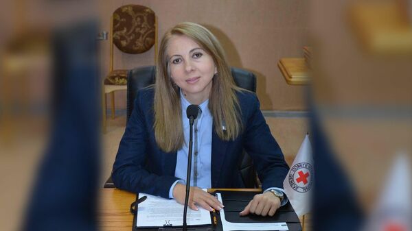 Ежеквартальная помощь от миссии: Тедети рассказала о продовольственной программе МККК - Sputnik Южная Осетия
