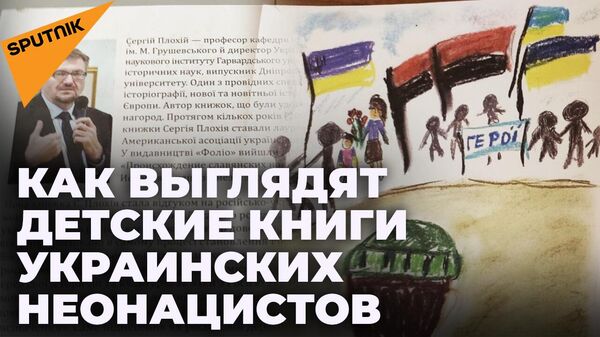 На освобожденных территориях ДНР нашли книги неонацистов - Sputnik Южная Осетия