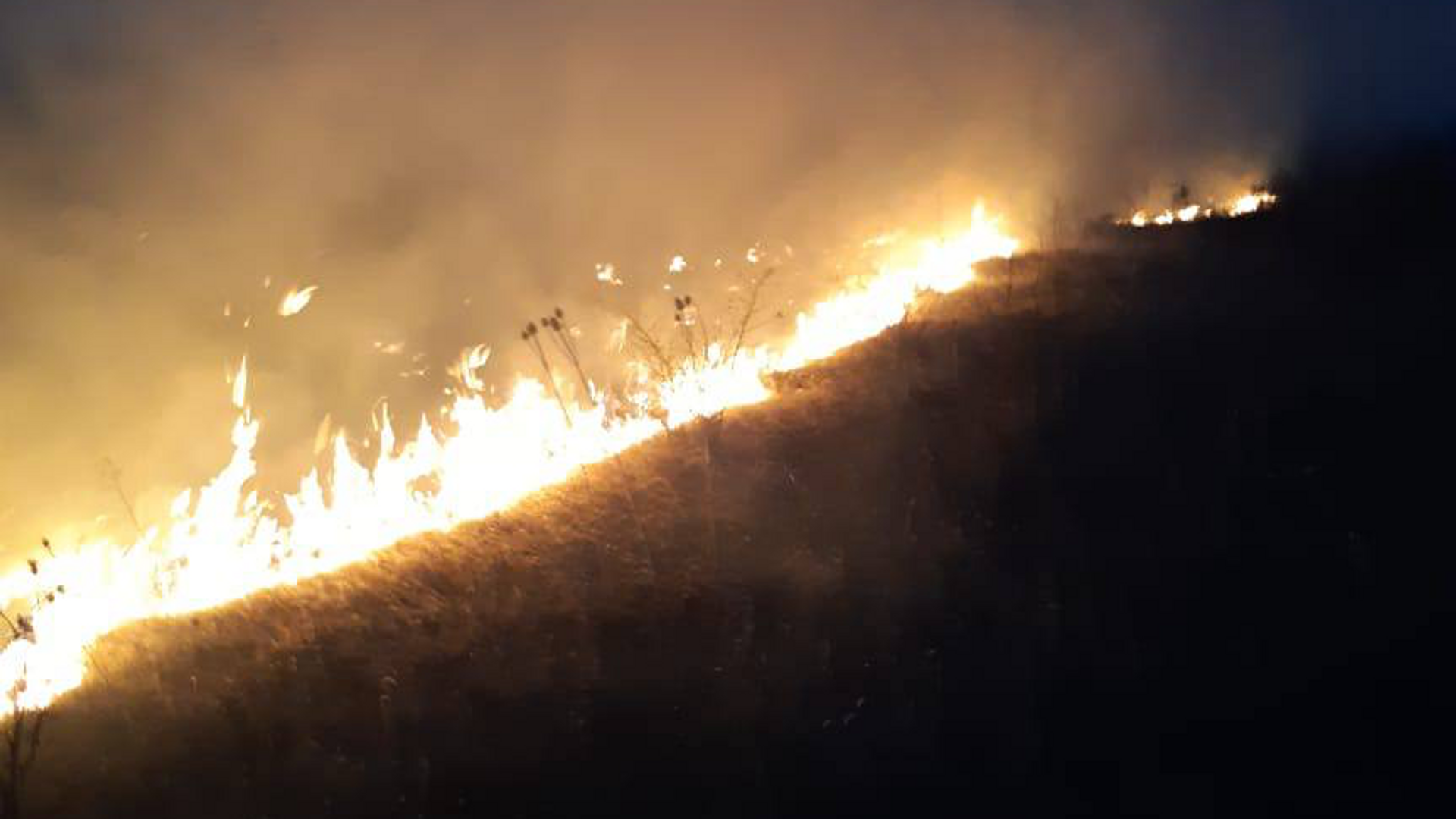 В селе Дменис Цхинвальского района произошло возгорание сухостоя - Sputnik Южная Осетия, 1920, 27.11.2022
