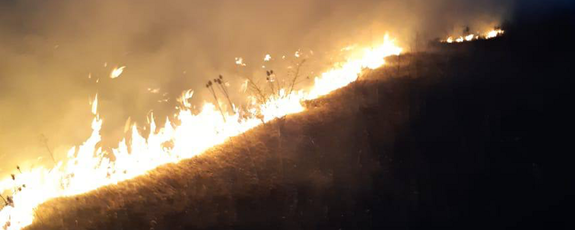 В селе Дменис Цхинвальского района произошло возгорание сухостоя - Sputnik Южная Осетия, 1920, 26.09.2023