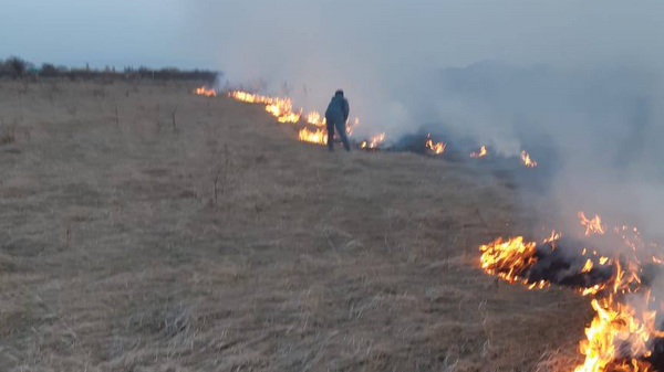 В селе Дменис Цхинвальского района произошло возгорание сухостоя - Sputnik Южная Осетия
