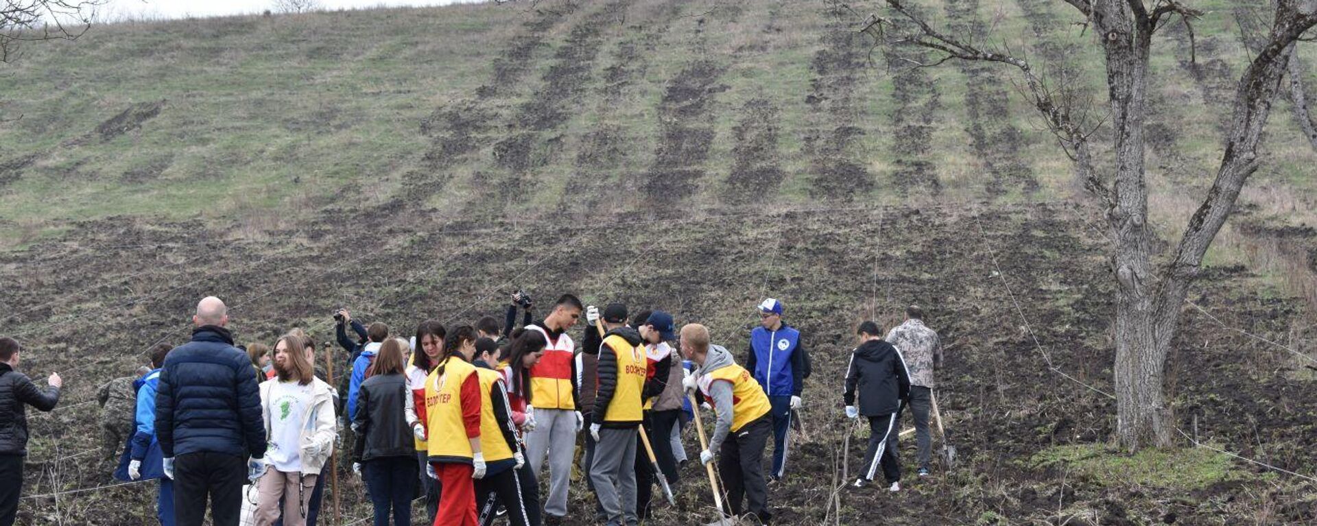 В Северной Осетии высадили миллионное дерево и 2000 саженцев ореха грецкого в рамках акции Сад памяти - Sputnik Южная Осетия, 1920, 14.05.2022