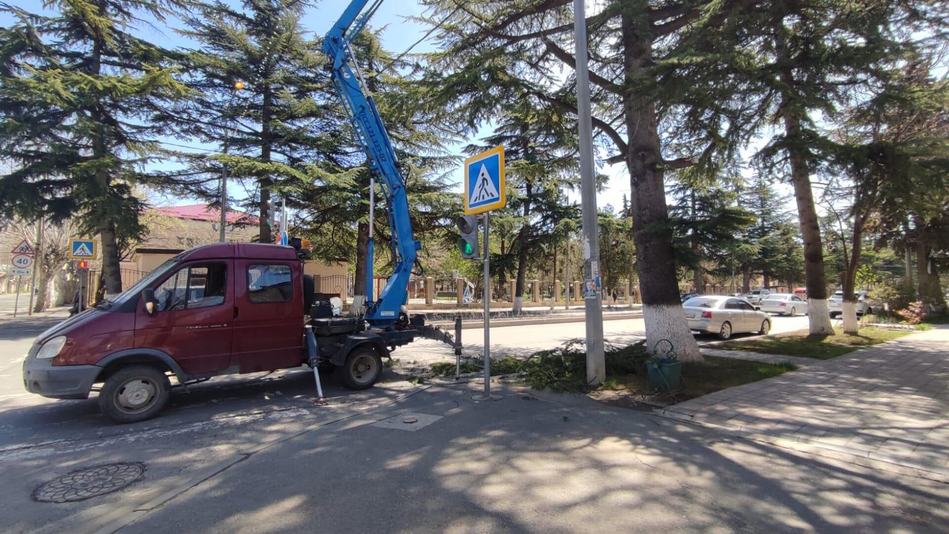 В столице Южной Осетии проводят санитарную обрубку деревьев на центральных улицах - Sputnik Южная Осетия, 1920, 24.04.2022