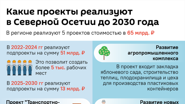 Какие проекты реализуют в Северной Осетии до 2030 года - Sputnik Южная Осетия