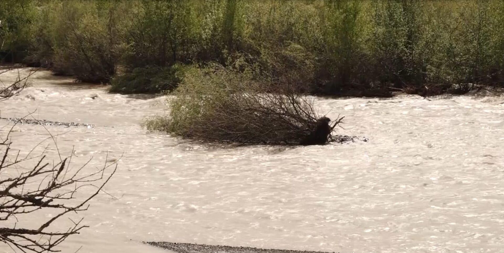 Река Ксан затопила десяток сел Ленингорского района - Sputnik Хуссар Ирыстон, 1920, 04.05.2022