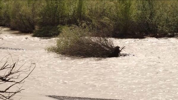 Река Ксан затопила десяток сел Ленингорского района - Sputnik Южная Осетия