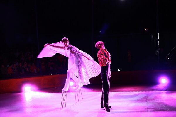 Выступление московского цирка на льду во Владикавказе  - Sputnik Южная Осетия