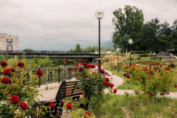 Алые розы в Большом парке в Цхинвале - Sputnik Южная Осетия